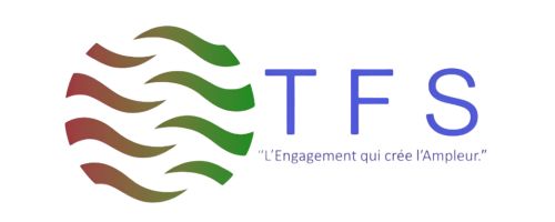 Terrassement Force Solution